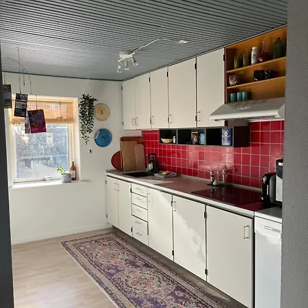 Daire Charming Townhouse In Citycenter Townhouse - Free Parking Odense
